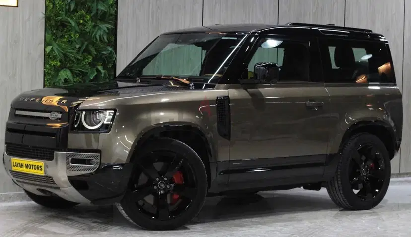 روفر ديفندر.